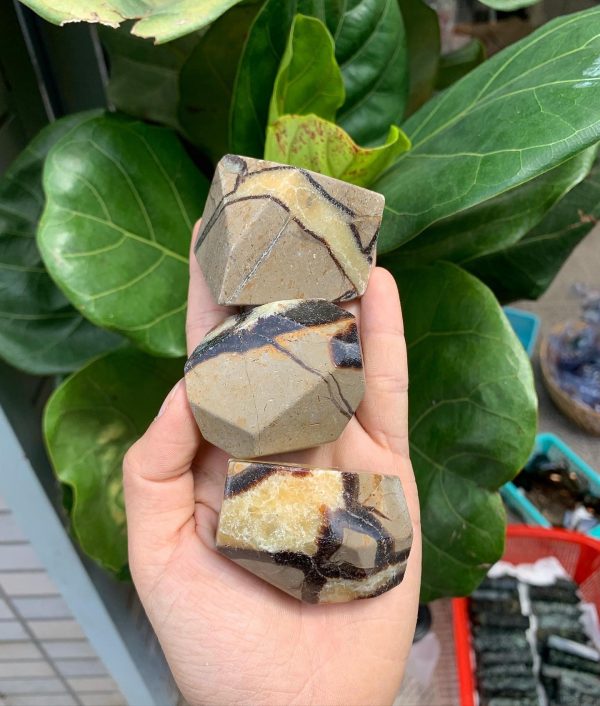 Septarian Freeform -Septarian nhiều hình dáng - Đá sưu tầm, thanh tẩy, thiền định, tarot |