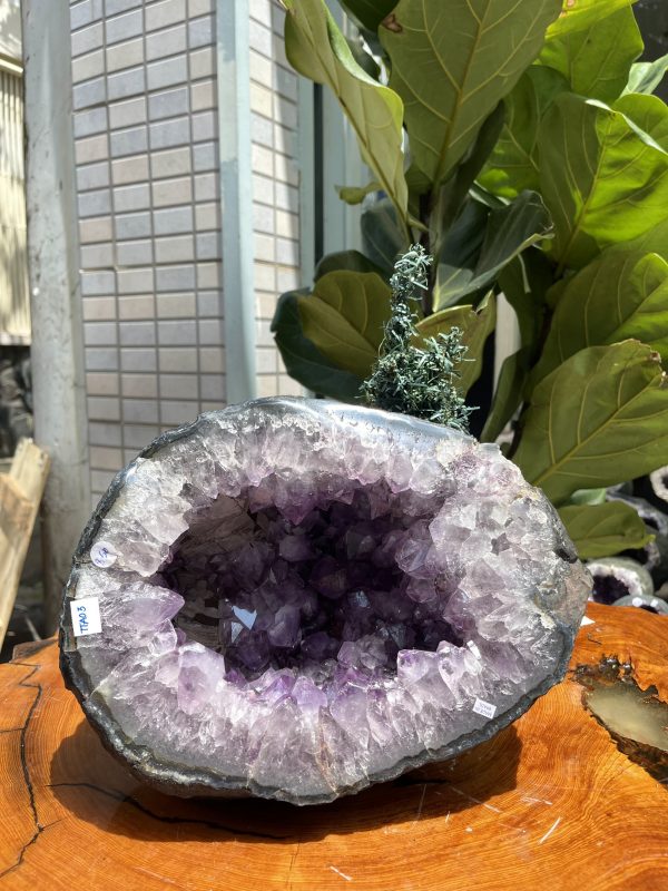 Túi Tiền - Ổ Tụ Tài Thạch Anh Tím - Amethyst (TTA03), KT: 26x20x18 CM, KL : 8.5kg