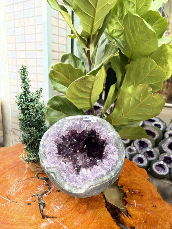 Túi Tiền - Ổ Tụ Tài Thạch Anh Tím - Amethyst (TTA13), KT: 17x16x20 CM, KL : 7kg