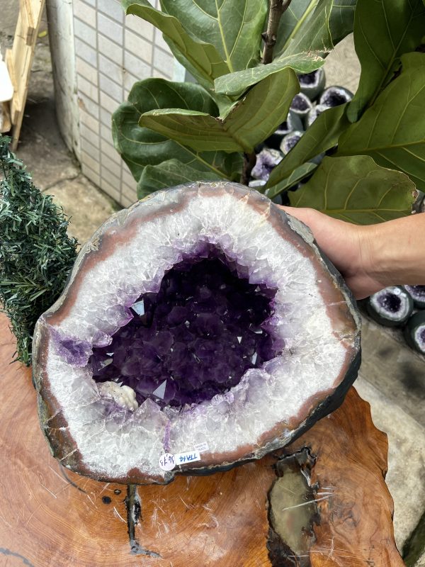 Túi Tiền - Ổ Tụ Tài Thạch Anh Tím - Amethyst (TTA14), KT: 26x22x24 CM, KL : 16.73kg