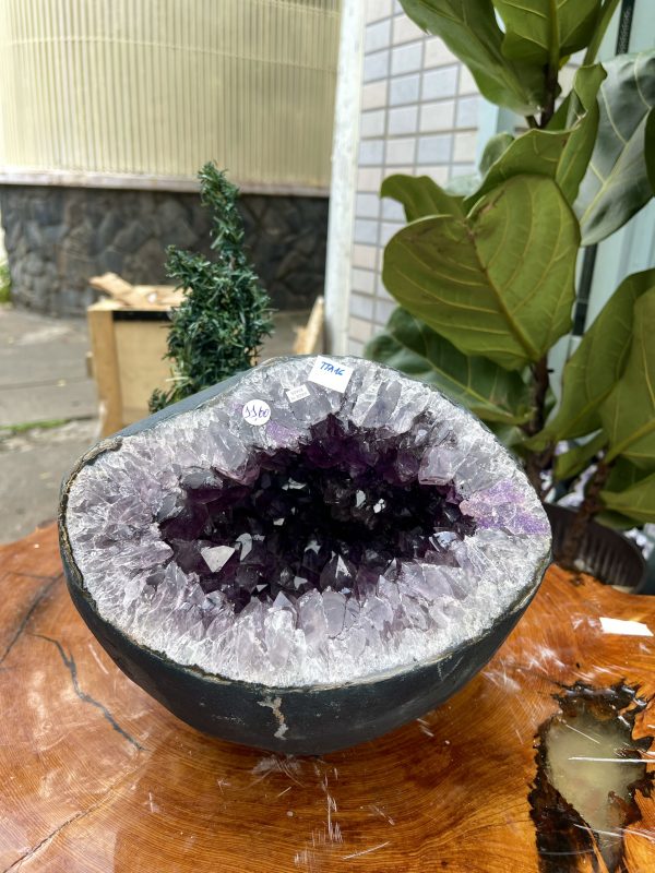 Túi Tiền - Ổ Tụ Tài Thạch Anh Tím - Amethyst (TTA16), KT: 22x16x22 CM, KL : 11.6kg