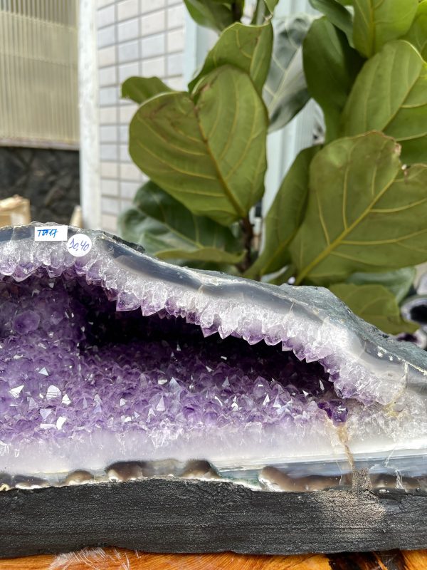 Túi Tiền - Ổ Tụ Tài Thạch Anh Tím - Amethyst (TTA17), KT: 33x18x18 CM, KL : 10.4kg