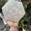 Đĩa lưới tinh thể selenite | Grib Selenite | Đá trang trí, sưu tầm, healing | CADA DECOR