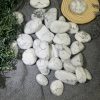 Đá bạch tùng | Tumble Howlite | Đá trang trí, sưu tầm, healing | CADA DECOR