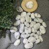 Đá bạch tùng | Tumble Howlite | Đá trang trí, sưu tầm, healing | CADA DECOR