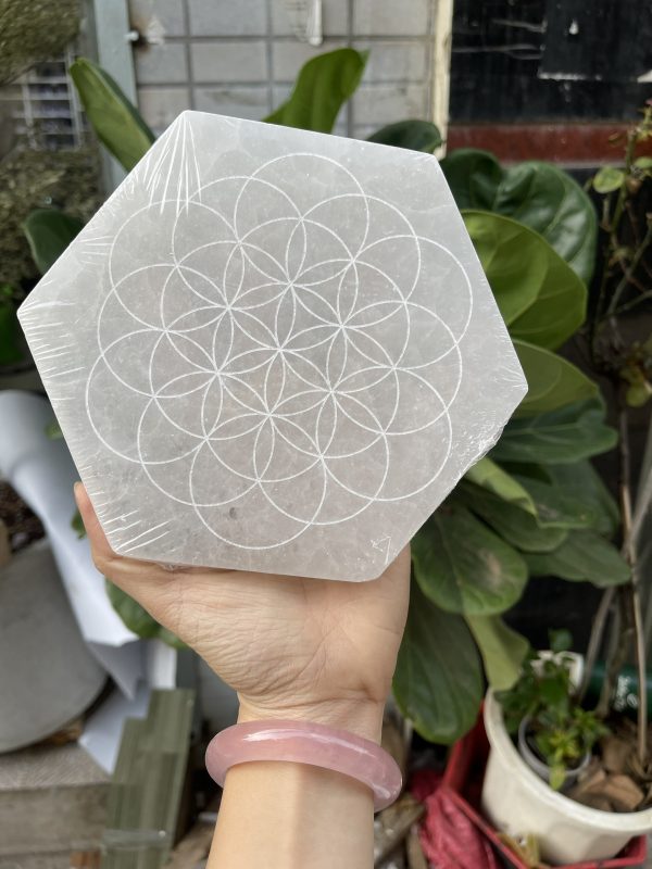 Đĩa lưới tinh thể selenite | Grib Selenite | Đá trang trí, sưu tầm, healing | CADA DECOR