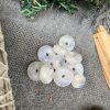 Đồng điếu Moonstone | Đá trang trí, sưu tầm, healing | CADA DECOR