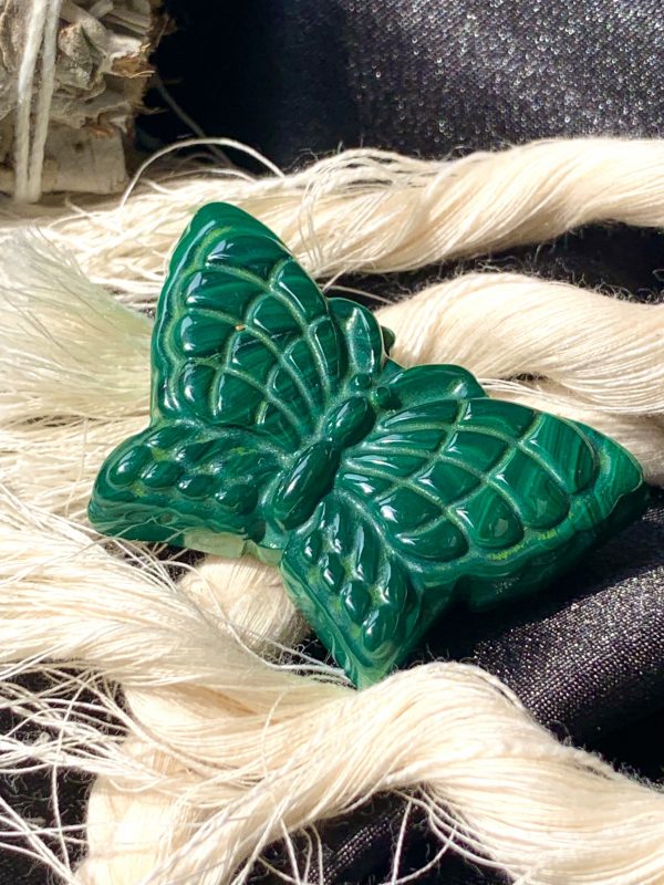 Bươm Bướm Đá Lông Công - Malachite Butterfly