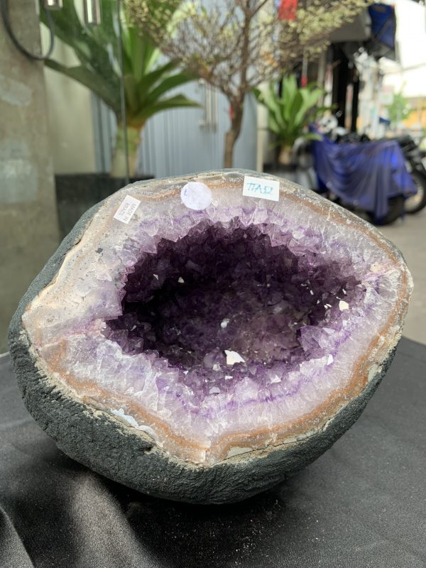 Túi Tiền – Ổ Tụ Tài Thạch Anh Tím – Amethyst (TAT52), KT: 16x12x16CM, KL : 4,26kg