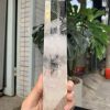 Trụ Thạch Anh Trắng trong – Clear Quartz Point, KL: 484GRAM (TTT233)