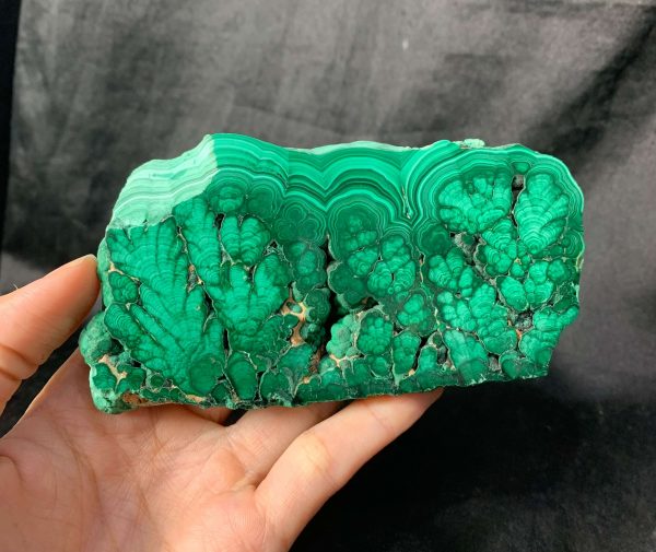 Malachite slice - đá Lông Công - Đá khổng tước | CADA DECOR