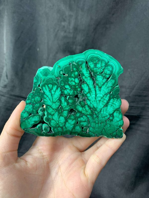 Malachite Slice – Đá Lông Công – Đá Khổng Tước | CADA DECOR