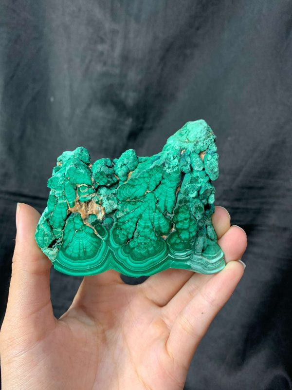 Malachite Slice – Đá Lông Công – Đá Khổng Tước | CADA DECOR