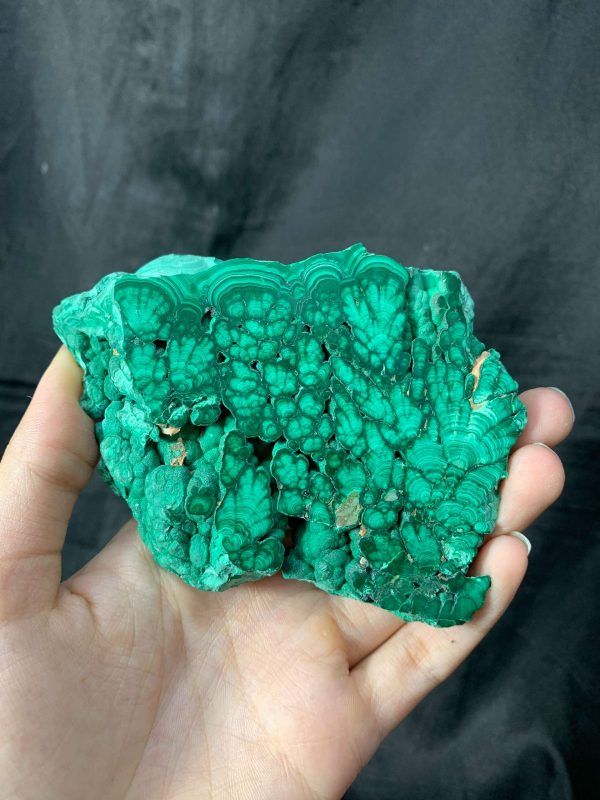 Malachite Slice – Đá Lông Công – Đá Khổng Tước | CADA DECOR