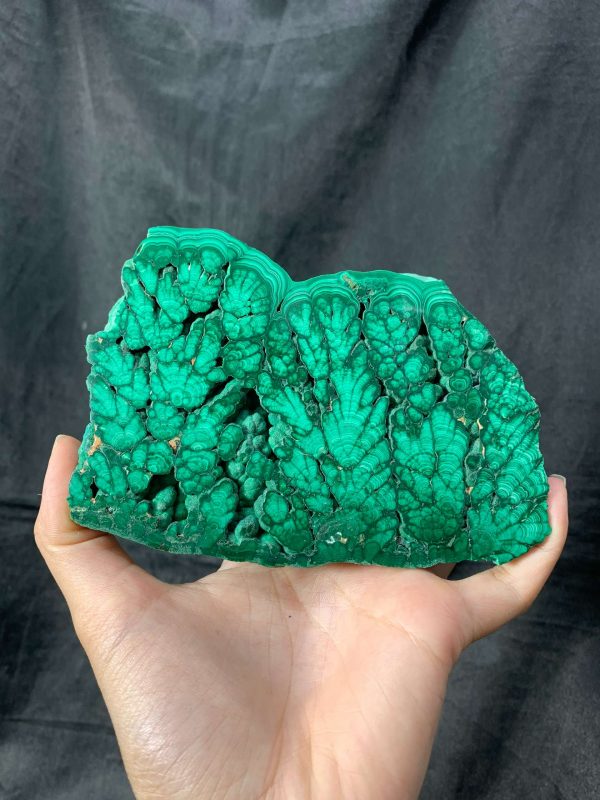 Malachite Slice – Đá Lông Công – Đá Khổng Tước | CADA DECOR