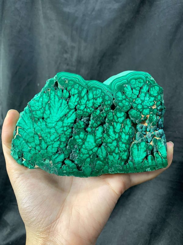 Malachite Slice – Đá Lông Công – Đá Khổng Tước | CADA DECOR