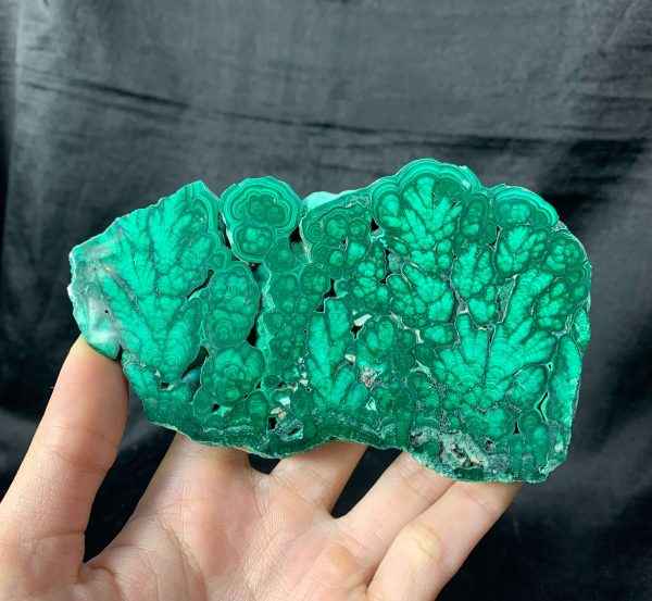 Malachite Slice – Đá Lông Công – Đá Khổng Tước | CADA DECOR