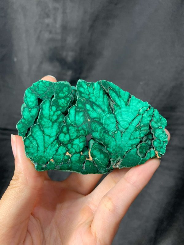 Malachite Slice – Đá Lông Công – Đá Khổng Tước | CADA DECOR