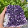 HỐC THẠCH ANH TÍM NHỎ – SMALL AMETHYST GEODE (TV525), KL: 1,522KG, KT: 13,5*12,5CM