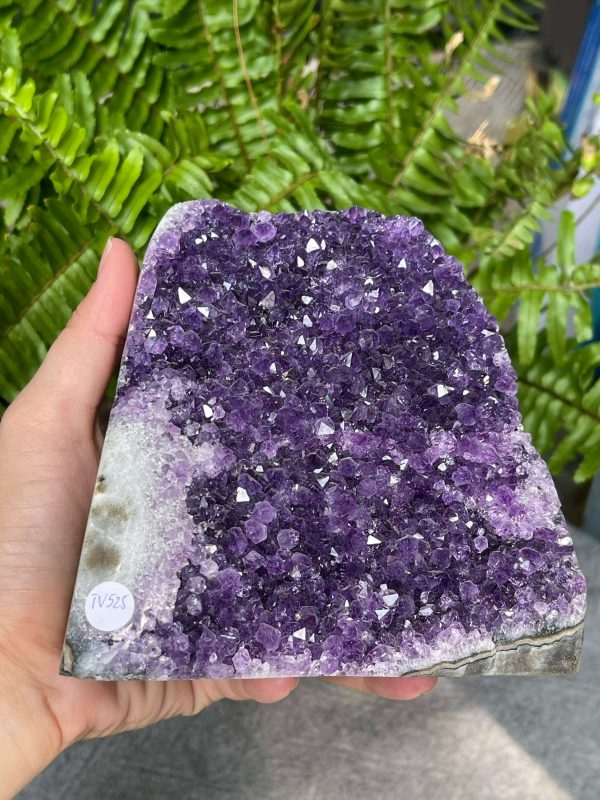 HỐC THẠCH ANH TÍM NHỎ – SMALL AMETHYST GEODE (TV525), KL: 1,522KG, KT: 13,5*12,5CM