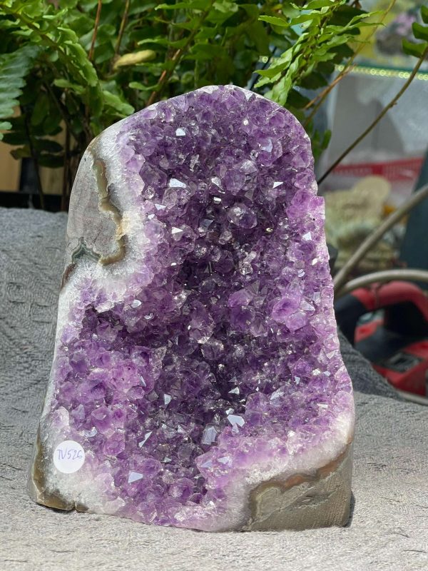 HỐC THẠCH ANH TÍM NHỎ – SMALL AMETHYST GEODE (TV526), KL: 1,606KG, KT: 16*10CM