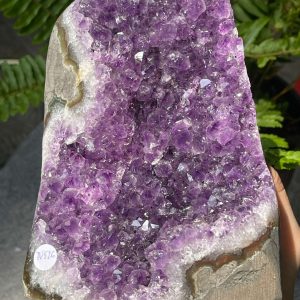 HỐC THẠCH ANH TÍM NHỎ – SMALL AMETHYST GEODE (TV526), KL: 1,606KG, KT: 16*10CM