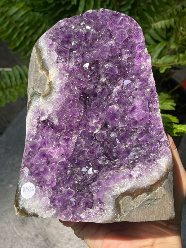 HỐC THẠCH ANH TÍM NHỎ – SMALL AMETHYST GEODE (TV526), KL: 1,606KG, KT: 16*10CM