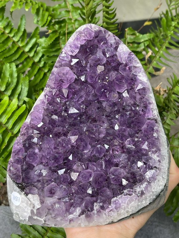 HỐC THẠCH ANH TÍM NHỎ – SMALL AMETHYST GEODE (TV527), KL: 2,18KG, KT: 17*12CM