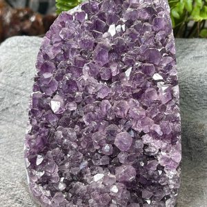 HỐC THẠCH ANH TÍM NHỎ – SMALL AMETHYST GEODE (TV529), KL: 1,83KG, KT: 16*10CM