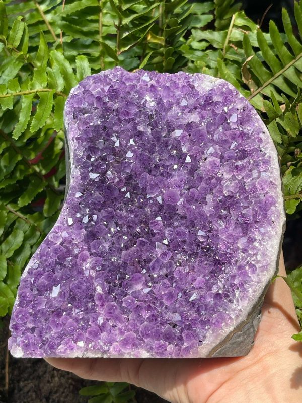 HỐC THẠCH ANH TÍM NHỎ – SMALL AMETHYST GEODE (TV537), KL: 1,264KG, KT: 16*11,5CM