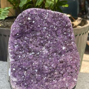 HỐC THẠCH ANH TÍM NHỎ – SMALL AMETHYST GEODE (TV545), KL: 1,106KG, KT: 12*10CM