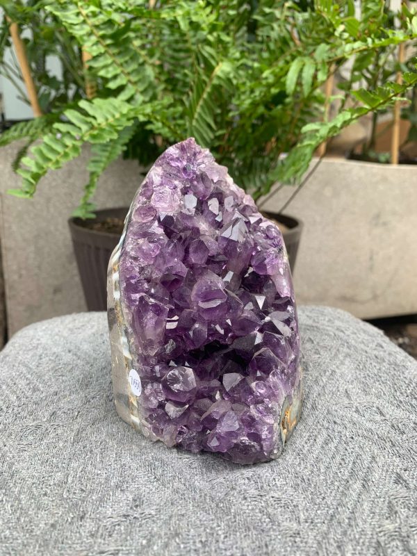 HỐC THẠCH ANH TÍM NHỎ – SMALL AMETHYST GEODE (TV559), KL: 1,072KG, KT: 14*8CM