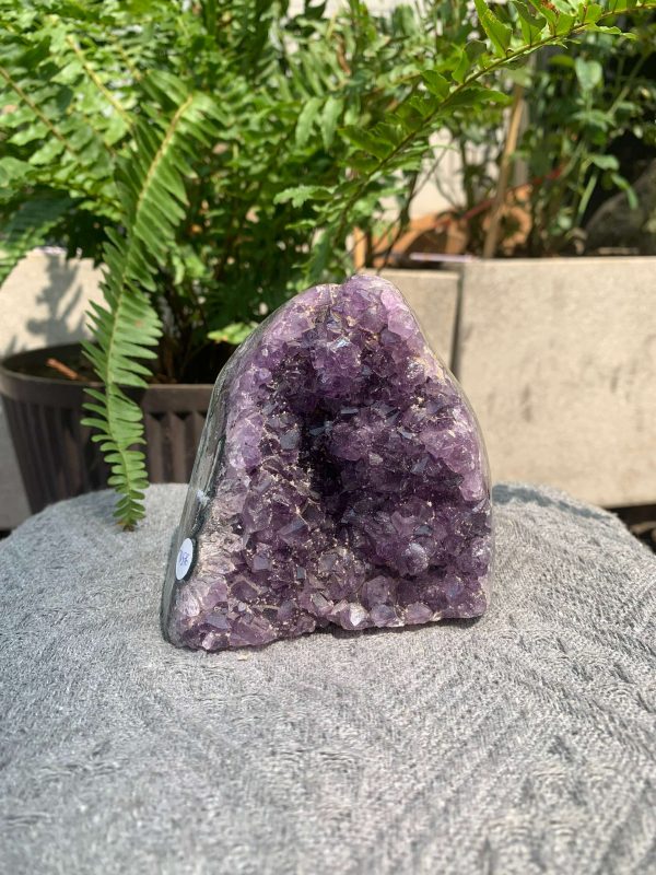 HỐC THẠCH ANH TÍM NHỎ – SMALL AMETHYST GEODE (TV576), KL: 0,828KG, KT: 9*8CM