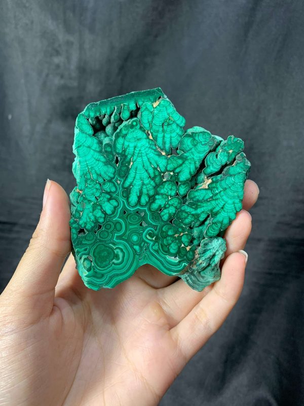 Malachite Slice – Đá Lông Công – Đá Khổng Tước | CADA DECOR