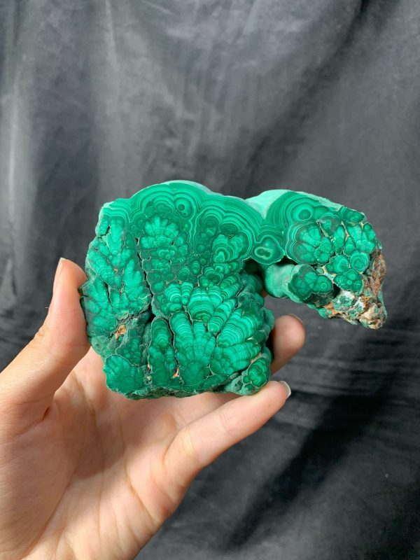 Malachite Slice – Đá Lông Công – Đá Khổng Tước | CADA DECOR