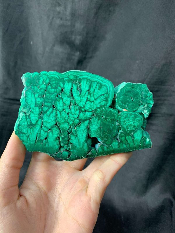 Malachite Slice – Đá Lông Công – Đá Khổng Tước | CADA DECOR