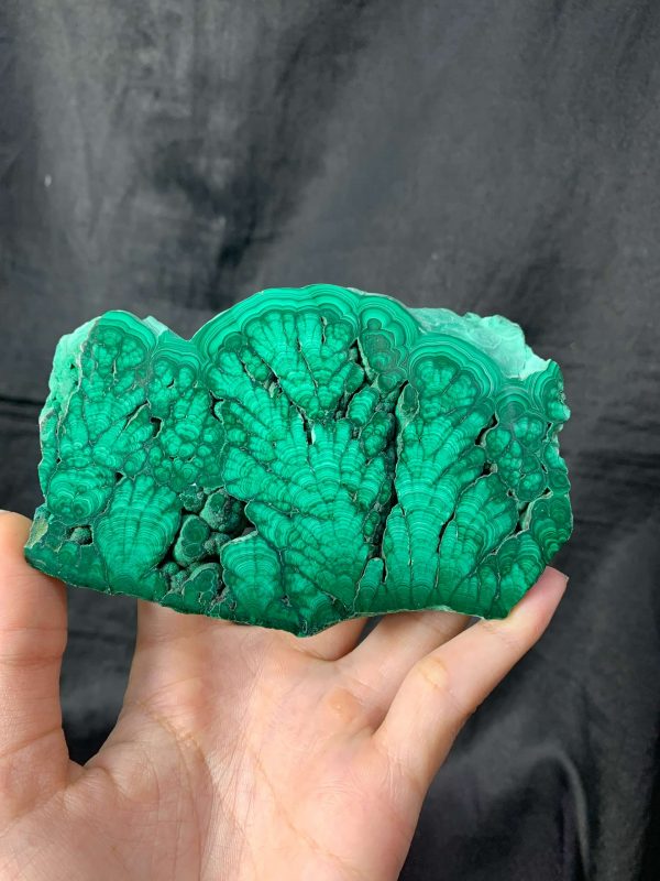 Malachite Slice – Đá Lông Công – Đá Khổng Tước | CADA DECOR