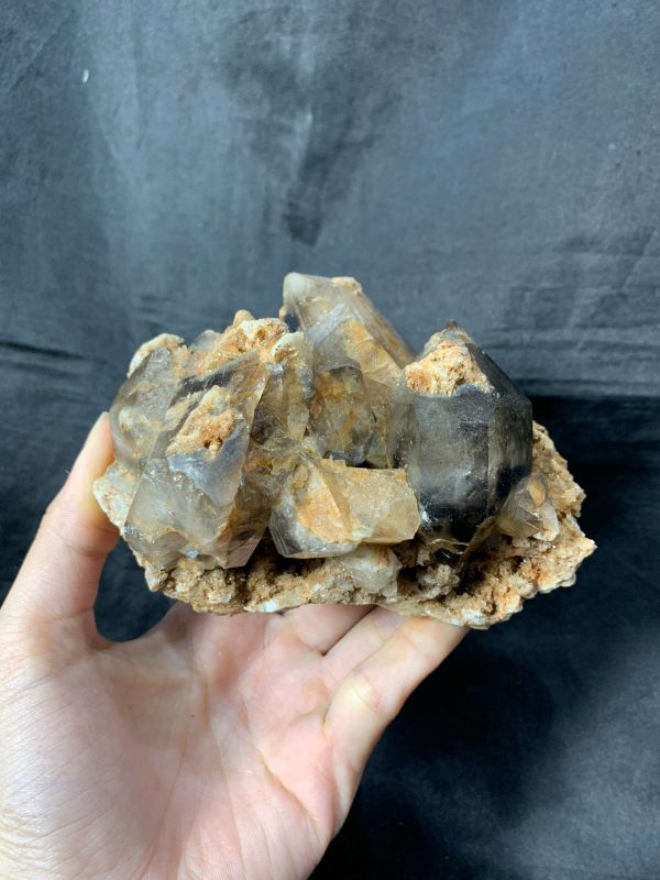 Agate Geode with Smoky Quartz - Hốc Mã Não cộng sinh tinh thể Thạch Anh Khói | CADA DECOR