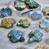 Labradorite Nhiều Hình | CADA DECOR